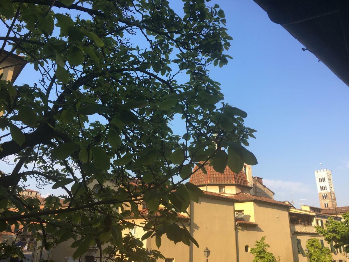 Casa Francesca * Lucca